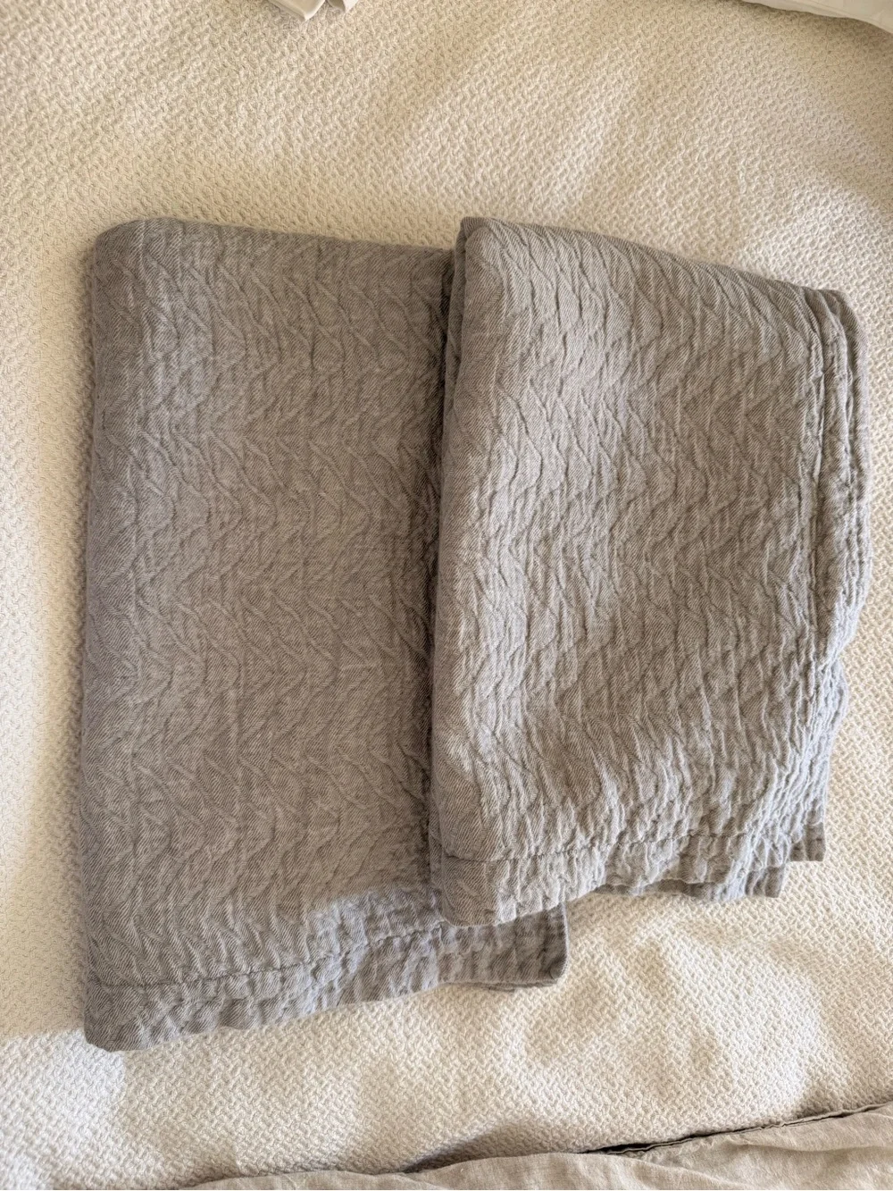 Two Restoration Hardware King Shams